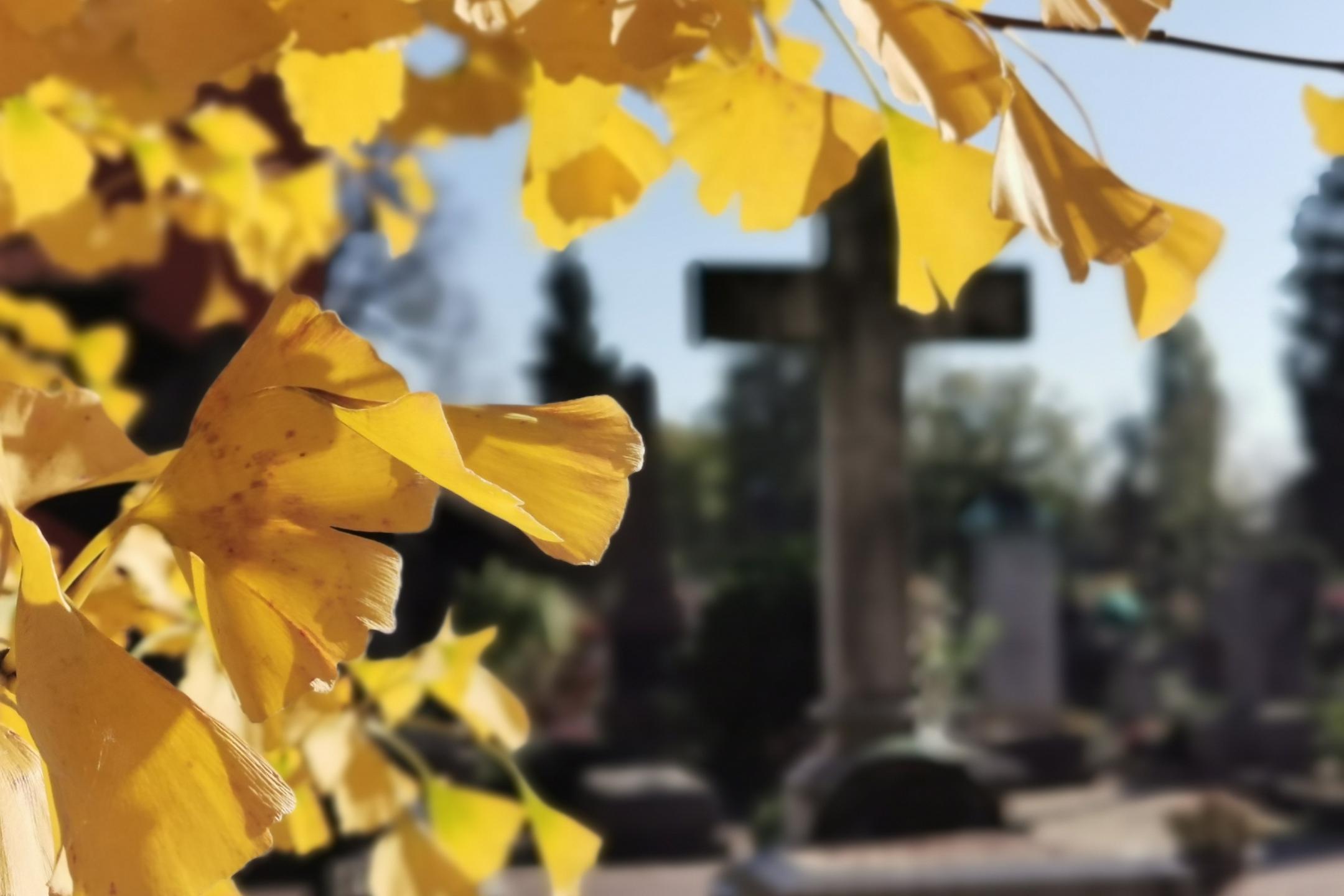 Herbst auf dem Friedhof