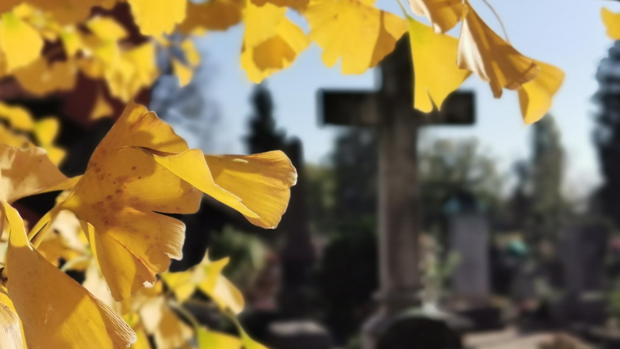 Herbst auf dem Friedhof