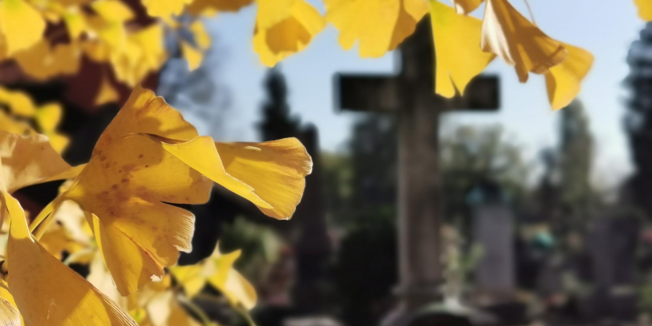 Herbst auf dem Friedhof